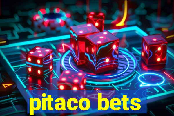 pitaco bets